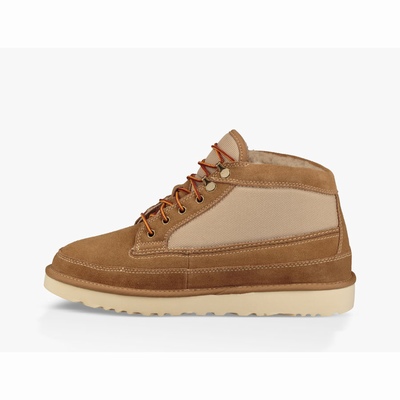 Botas UGG Highland Field Homem Marrom | PT-GMYAN